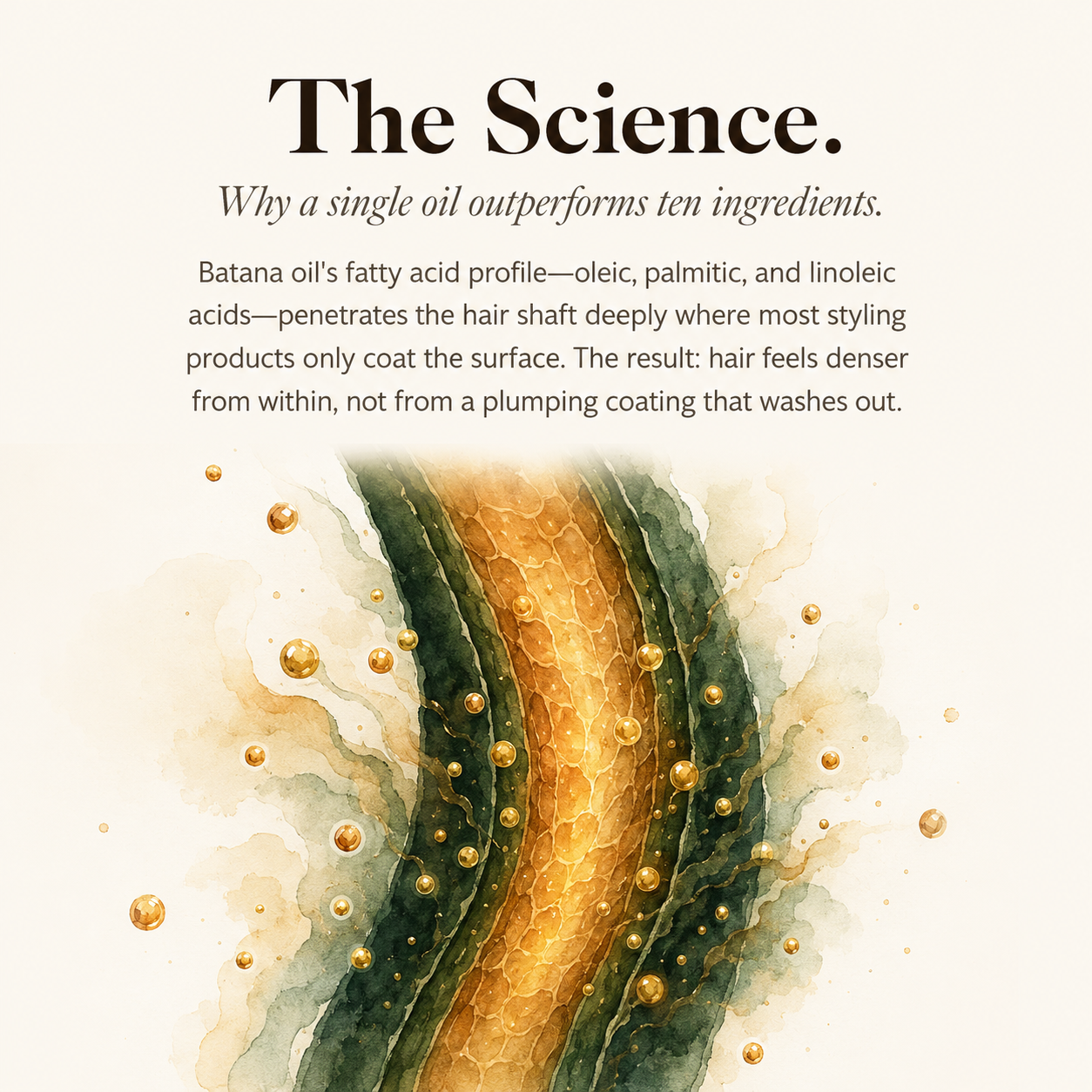 The Batana Oil